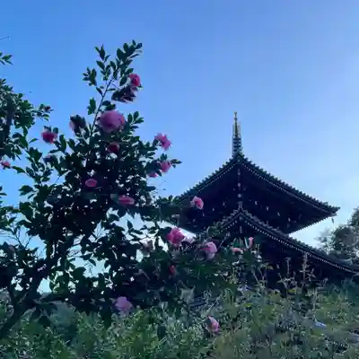 浄発願寺(神奈川県)
