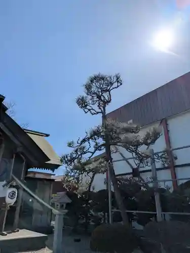 亀田龍神社(北海道)
