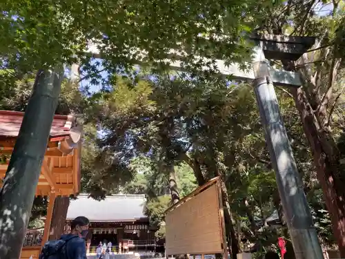 平塚八幡宮の鳥居