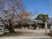 神明社の自然