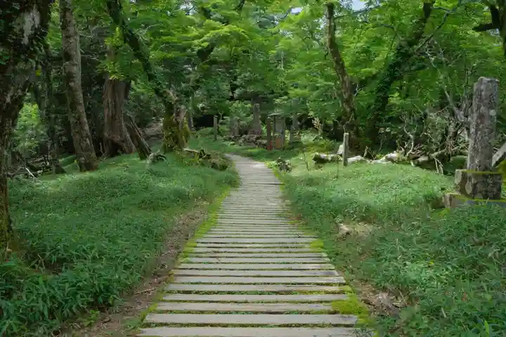 大峯山寺の自然