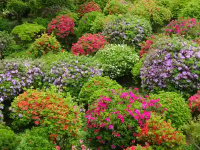 塩船観音寺の自然