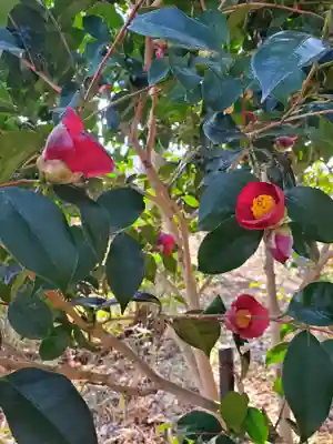 沙沙貴神社(滋賀県)