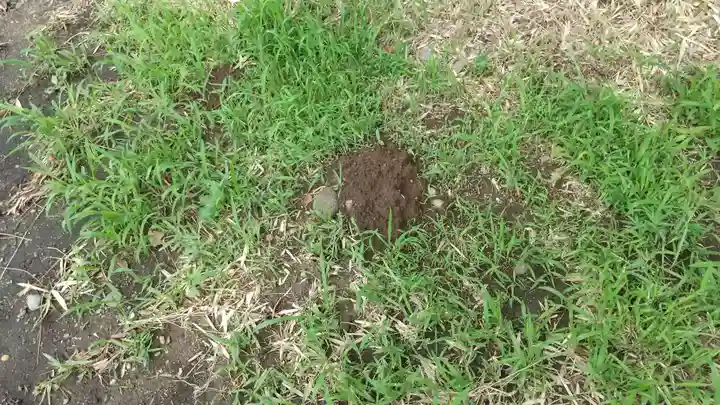 酒門神社(茨城県)