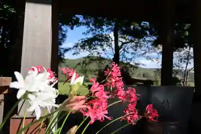 高司神社〜むすびの神の鎮まる社〜の手水舎