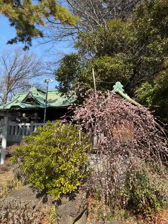 大曽根八幡神社(埼玉県)