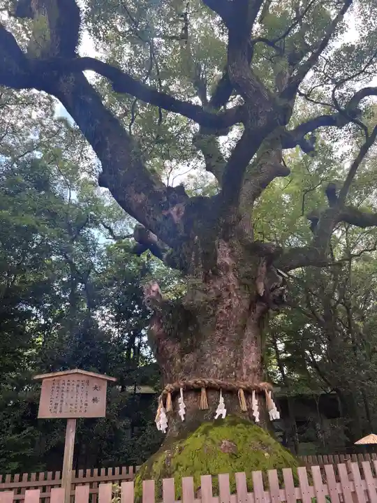 熱田神宮の自然