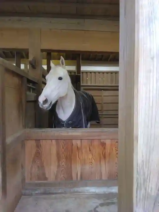 金刀比羅宮(香川県)