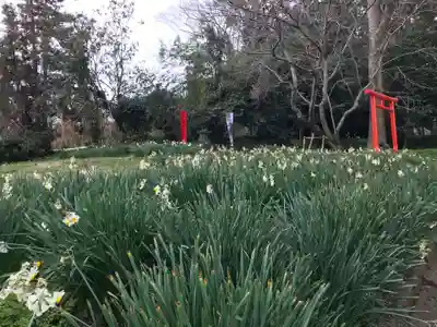 光岡八幡宮(福岡県)