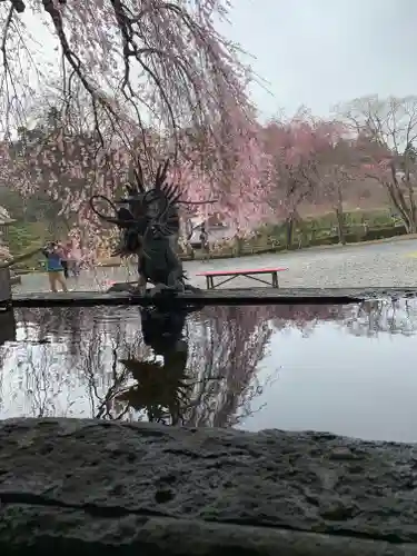 南湖神社の手水