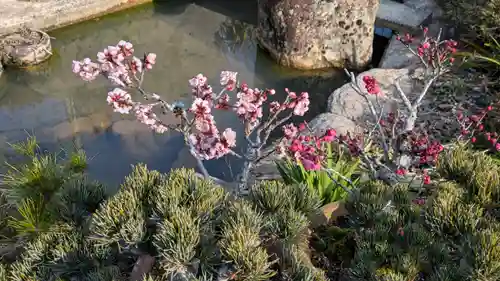 福城寺(滋賀県)