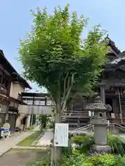 秩父札所十三番 慈眼寺(埼玉県)