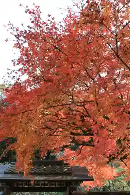 東慶寺(神奈川県)
