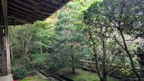 龍安寺(京都府)