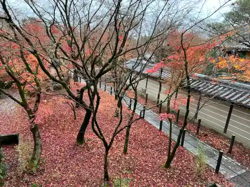 禅林寺（永観堂）(京都府)