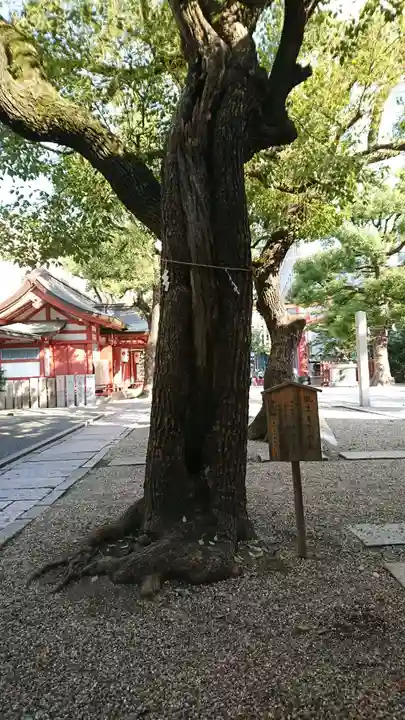 御霊神社の自然