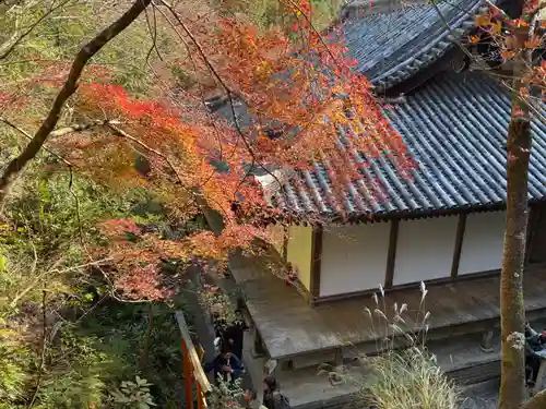 愛宕念仏寺(京都府)
