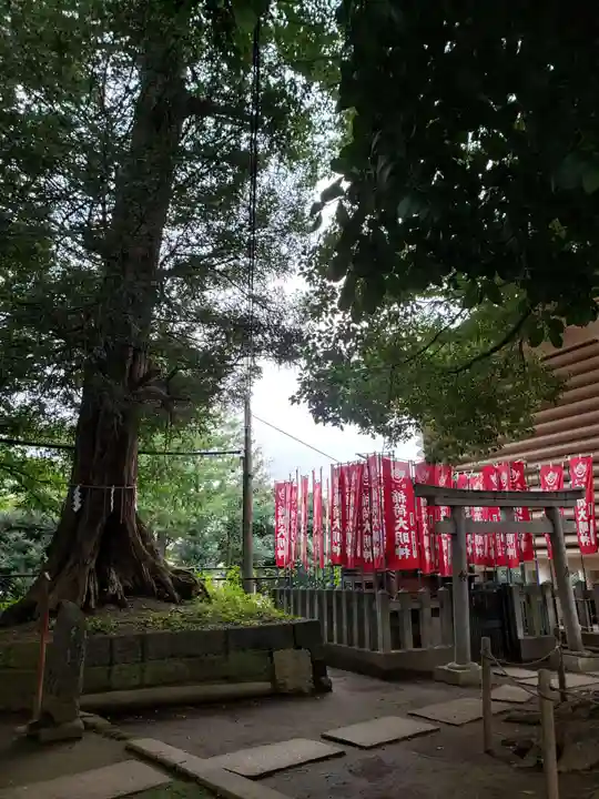 諏訪神社のその他建物