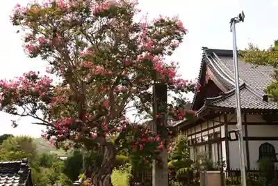 座光如来寺（元善光寺）(長野県)