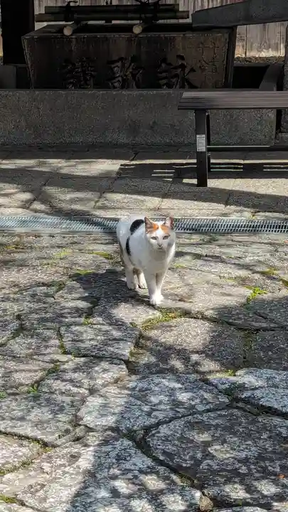 行願寺(革堂)(京都府)