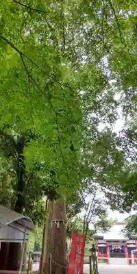 金ヶ作熊野神社(千葉県)