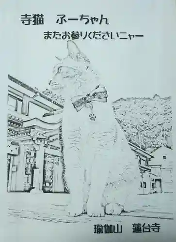 瑜伽山蓮台寺の授与品その他