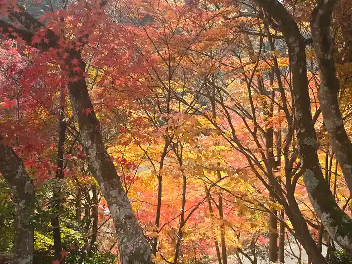 覚性律庵(滋賀県)