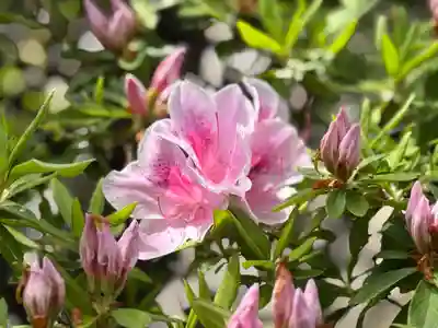 西方山極楽寺(岐阜県)