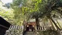 泉神社(福井県)