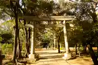 赤坂氷川神社の鳥居
