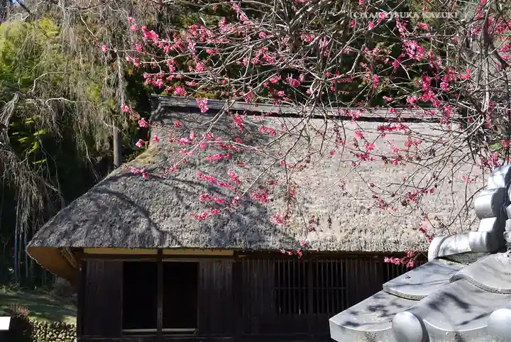 高麗神社(埼玉県)