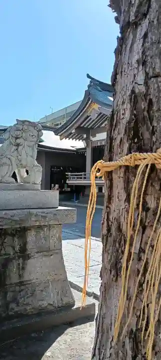 柏神社の{uncategorized: "未分類", other: "その他", undefined: "問題あり", building: "その他建物", grave: "お墓", sacred_gate: "鳥居", guardian: "狛犬", statue: "像", buddha: "仏像", history: "歴史", nature: "自然", garden: "庭園", animal: "動物", pagoda: "塔", temizu: "手水舎", mountain_gate: "山門・神門", sanctuary: "本殿・本堂", subordinate: "末社・摂社", art: "芸術", scenery: "景色", jizo: "地蔵", ema: "絵馬", goshuin: "御朱印", omikuji: "おみくじ", items: "授与品その他", amulet: "お守り", goshuincho: "御朱印帳", eats: "食事", festival: "お祭り", votive_dance: "神楽", shichigosan: "七五三参", wedding: "結婚式", experience: "体験その他", initially: "初詣", around: "周辺", anti_infection: "感染症対策"}
