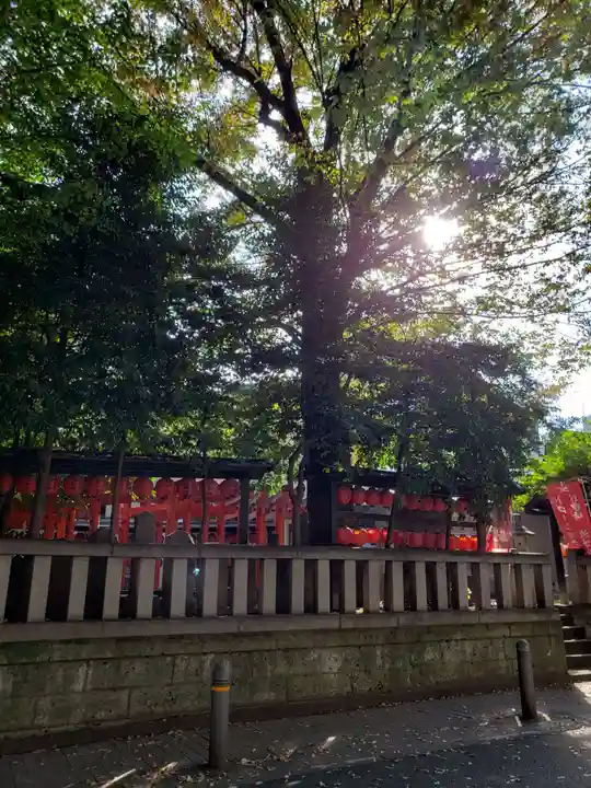 豊栄稲荷神社の自然