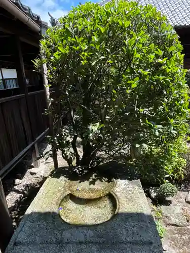 聖衆来迎寺(滋賀県)