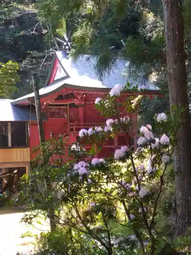 上一宮大粟神社の本殿・本堂