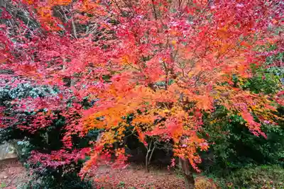 鹿島大神宮(福島県)