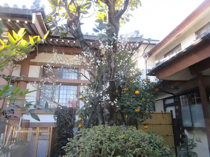 良感寺(東京都)