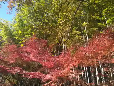 建長寺 半僧坊(神奈川県)