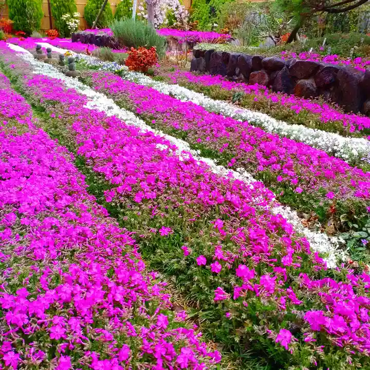 寿量山 速成寺(奈良県)