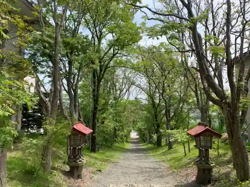 釧路一之宮 厳島神社の自然