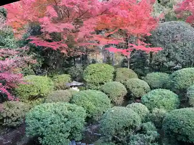 安楽寺(京都府)