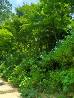 石都々古和気神社(福島県)