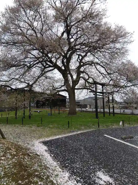 霊泉寺(福井県)