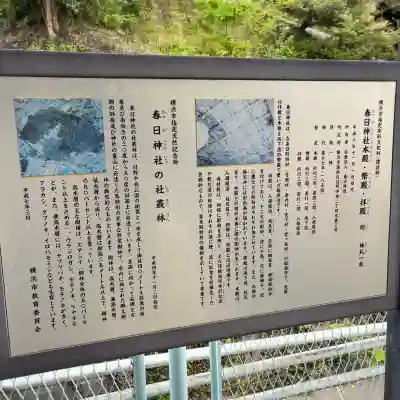 春日神社(神奈川県)