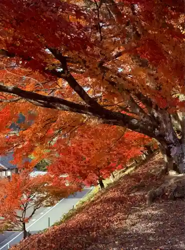 鶏足寺(滋賀県)