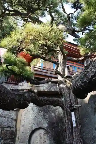 千光寺の建物その他