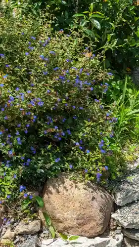 泉妙院(京都府)