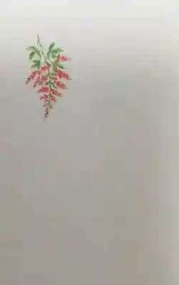 荻窪白山神社(東京都)