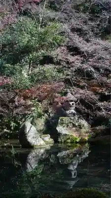 蓮華寺（洛北蓮華寺）(京都府)