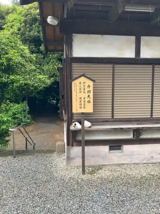板倉雷電神社(群馬県)